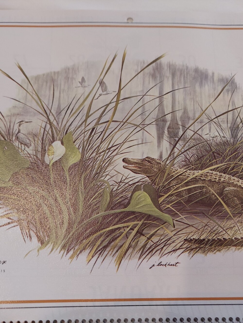 Vntg 1986 Wildlife Collection Callender, James Lockhart-Artist & Conservationist - Picture 16 of 16
